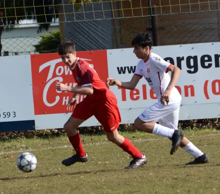 28.02.2026 SV Großgräfendorf vs. SG Einheit Halle