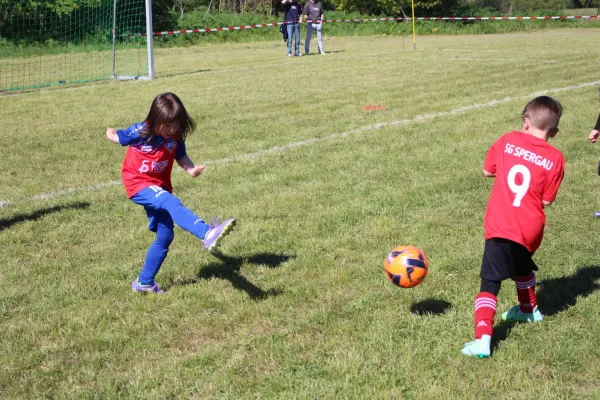 01.05.2026 SV 1916 Beuna vs. SV Großgräfendorf