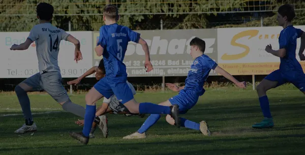 07.04.2026 SV Großgräfendorf vs. SV Meuschau
