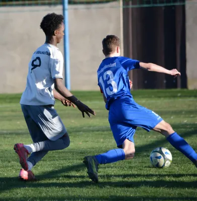 07.04.2026 SV Großgräfendorf vs. SV Meuschau