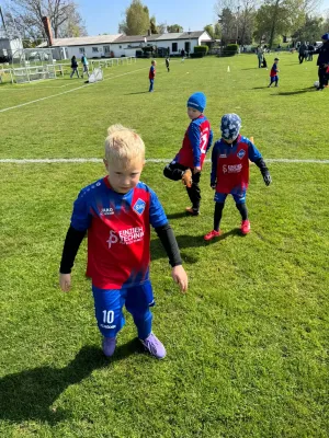 25.04.2026 SV Meuschau vs. SV Großgräfendorf II