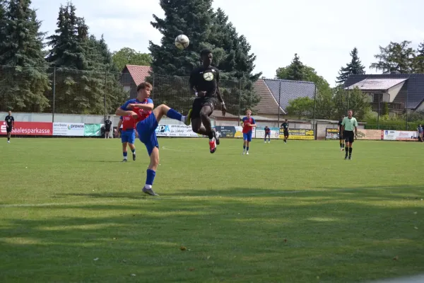 16.08.2026 SV Großgräfendorf vs. BSV Halle-Ammendorf