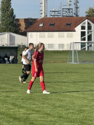27.09.2026 SG Spergau 1891 vs. SV Großgräfendorf