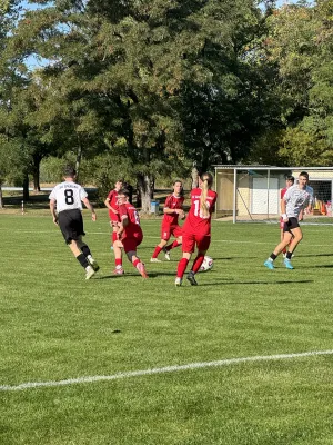 27.09.2026 SG Spergau 1891 vs. SV Großgräfendorf