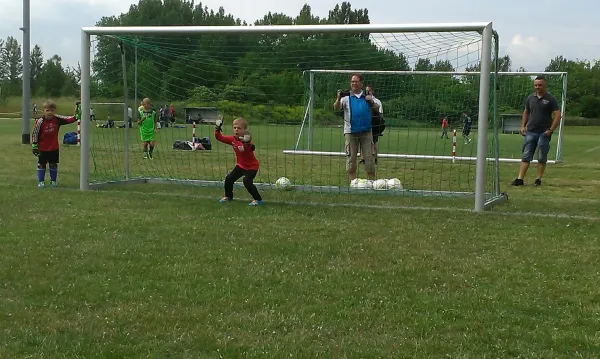 12.06.2016 TSV Leuna 1919 vs. SV Großgräfendorf