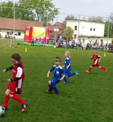 01.05.2017 FSV Raßnitz vs. SV Großgräfendorf