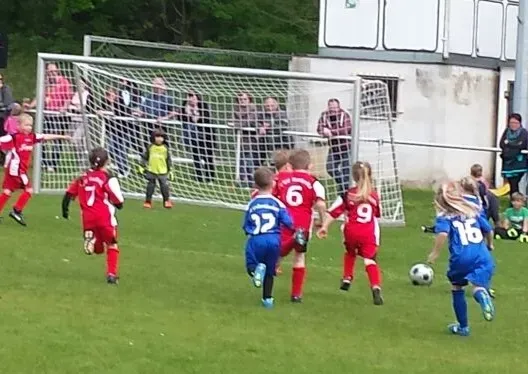 01.05.2017 FSV Raßnitz vs. SV Großgräfendorf