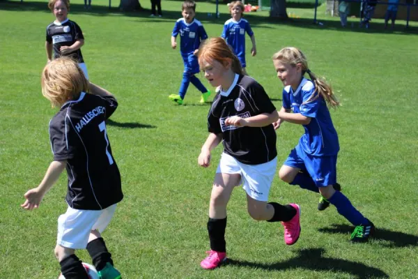 06.05.2018 SV Großgräfendorf vs. Hallescher FC
