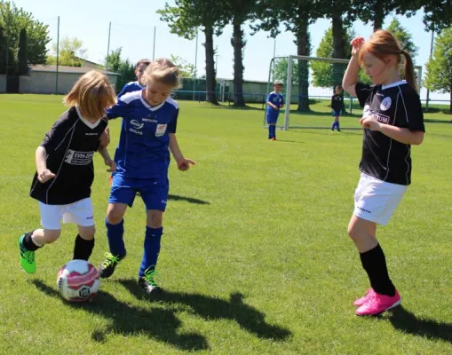 06.05.2018 SV Großgräfendorf vs. Hallescher FC