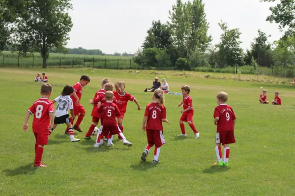 03.06.2018 TSV Leuna 1919 vs. SV Großgräfendorf