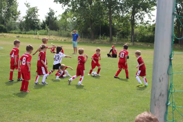 03.06.2018 TSV Leuna 1919 vs. SV Großgräfendorf