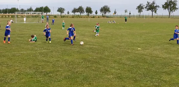 10.06.2019 SV Höhnstedt vs. SV Großgräfendorf II