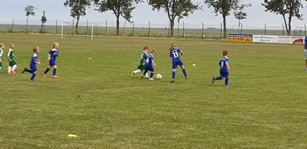 10.06.2019 SV Höhnstedt vs. SV Großgräfendorf II