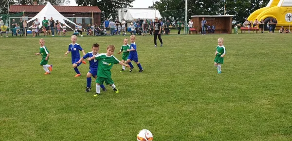 10.06.2019 SV Höhnstedt vs. SV Großgräfendorf II
